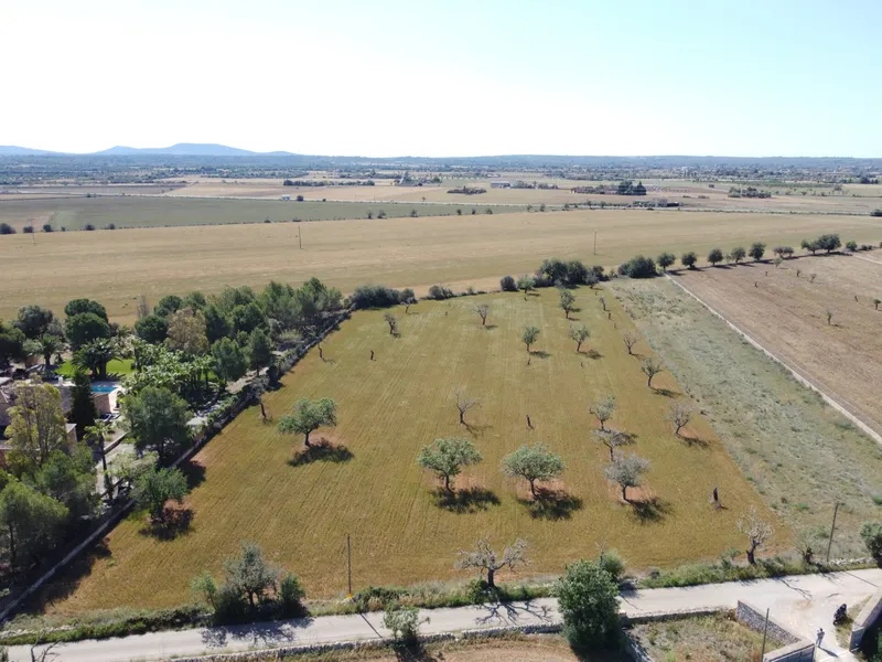 Non-buildable plot 1 km from Campos — photo 3