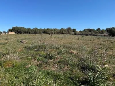 Rural land in Santa Margalida, plot surface 25,574.5 m² — photo 1