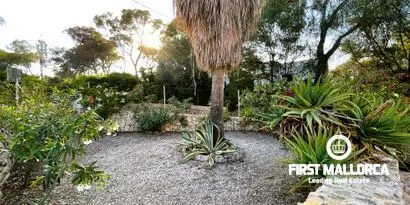 Real estate picture 0 Ref. No. 80254 — photo 4