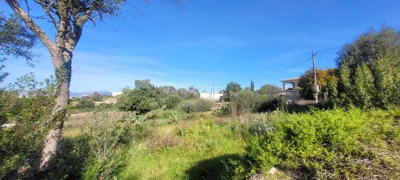 Land in Marratxí, Province of Balearic Islands — photo 3