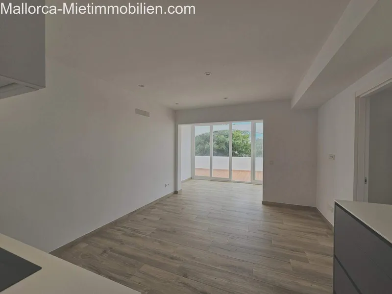 70m² apartment with 2 rooms, bathroom and terrace for rent — photo 5