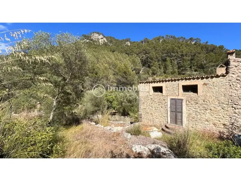 Rustic finca in Alaró of 22,600 m² in ANEI area — photo 3