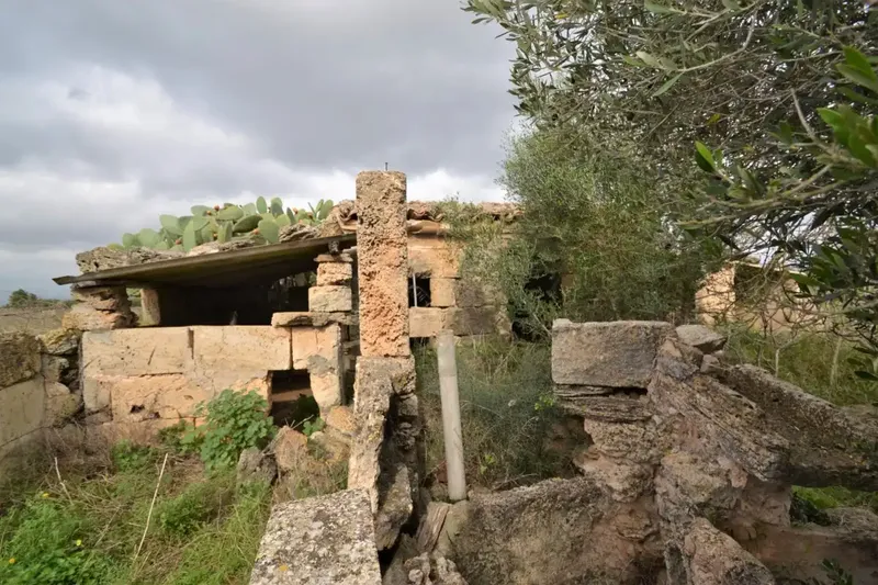 Plot of 24300 square meters with tool shed to renovate — photo 8