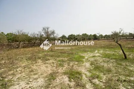 Rural Land - Santa Margalida, Plot Surface 14310 m², Distance to the Sea 6 km — photo 6