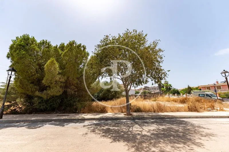 Land in Binissalem, Province of Balearic Islands — photo 4