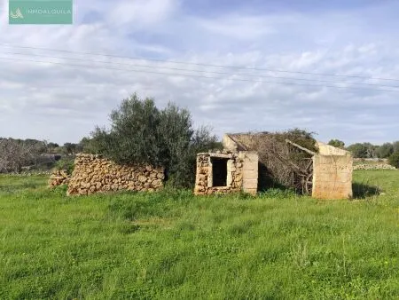 Rustic property - Santa Margalida, Built Surface 50m², Plot Surface 15767m², 1 Room, 1 Bathrooms — photo 1