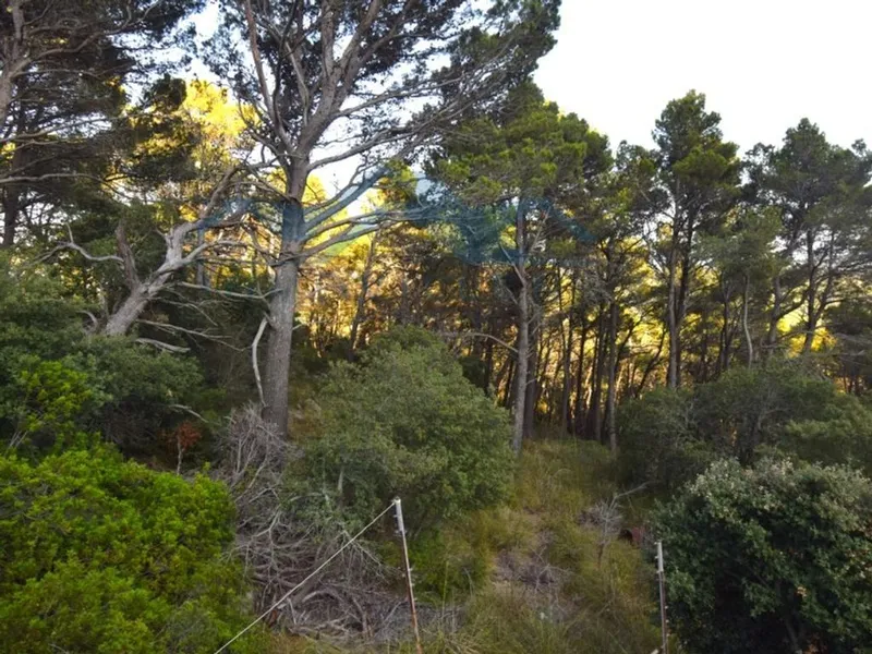 Luxury home in Puigpunyent, Province of Balearic Islands — photo 4