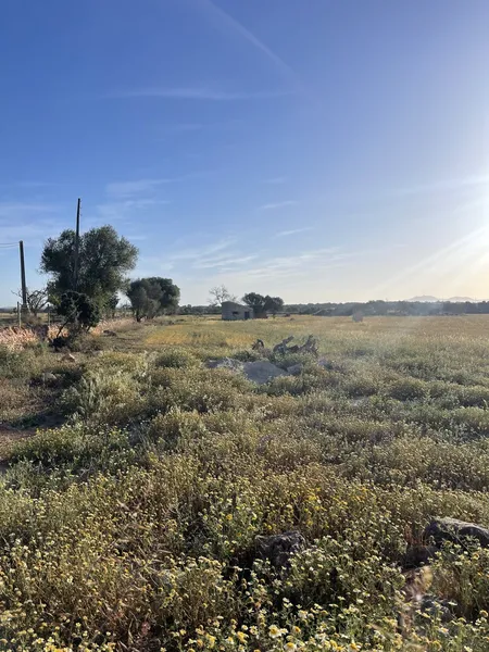 Plot Between Campos and Sa Rapita — photo 2