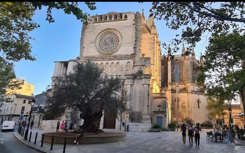 Commercial building in the heart of Manacor (Galerias Caldentey) — photo 4