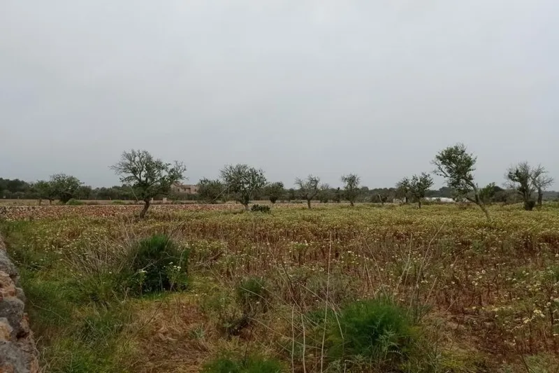 Plot with building project between Es Llombards – Faro Salines — T 08 VK CM — photo 1