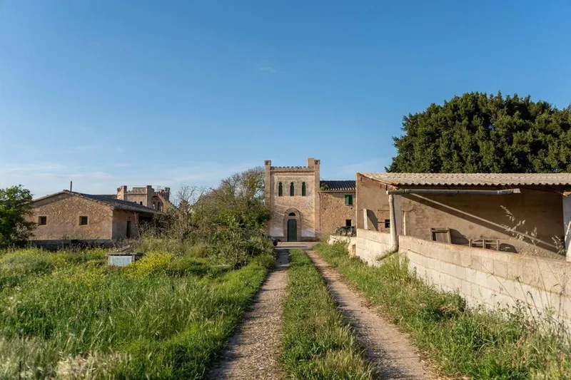 Rural or Farmhouse in Palma de Mallorca, Province of Balearic Islands — photo 5