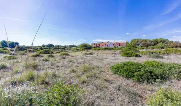 Building plot on the seafront in Cala Tono, Colonia Sant Pere — photo 7