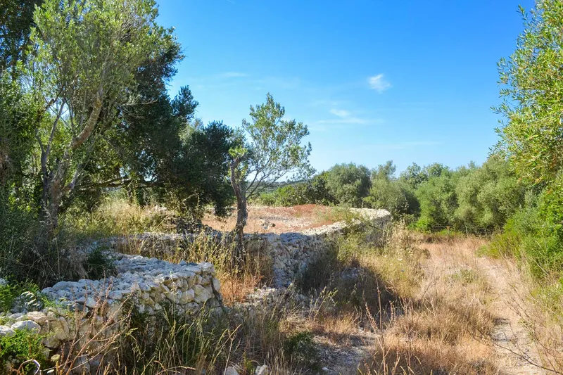 Llubi – Building plot with 35,032 m2 of land without project — photo 7