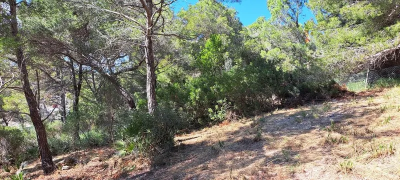 Land in Capdepera, Province of Balearic Islands — photo 6