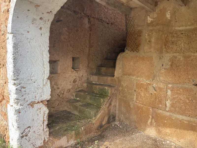 Rustic finca for full renovation with distant views of the Sierra de Tramuntana, Campos — photo 11