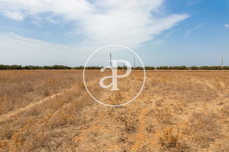 Land in Campos, Province of Balearic Islands — photo 8