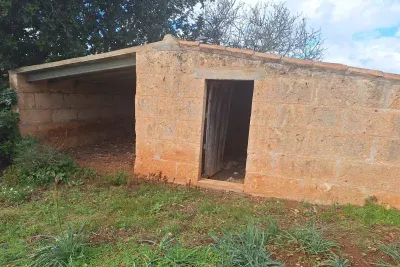 Farm with building land in Son Carrió — photo 1