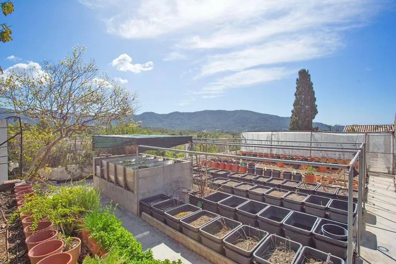 Townhouse in Calvià, Province of Balearic Islands — photo 12