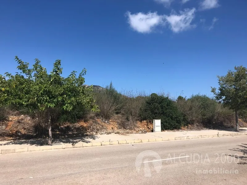 Land — photo 4