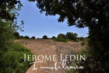 Large Building Plot near Cala D'or — photo 1
