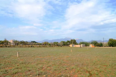 Land in Buger, Mallorca — photo 6