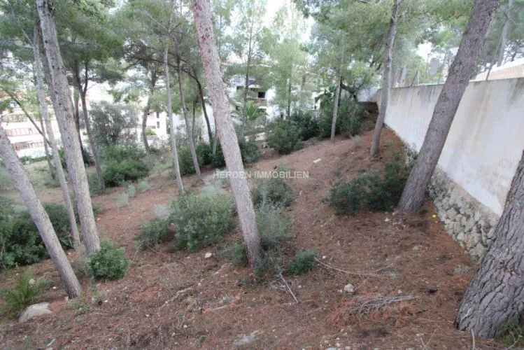 Building Plot for Sale in Santa Ponsa, Mallorca — photo 4