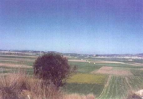 Characteristic Mallorcan finca with grand views in Felanitx — photo 5