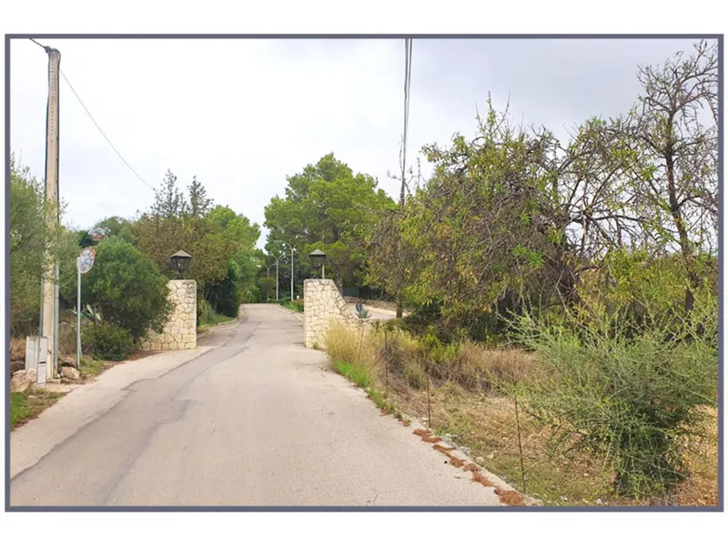 Plot — photo 1