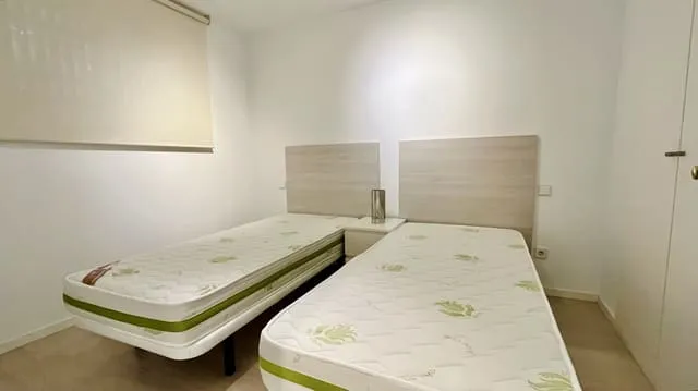 Apartment for rent in Santa Ponsa, Calvià — photo 4