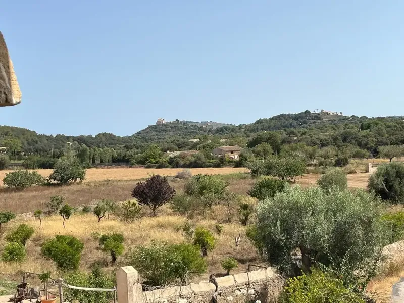 Discover this buildable rustic estate of approximately 59,500 m2, offering a construction of about 345 m2 with ample possibilities — photo 9