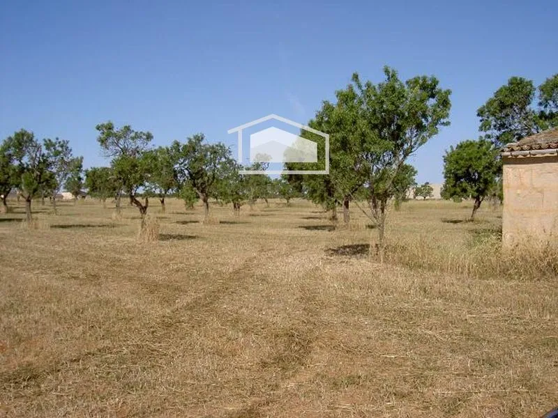 Rustic plot with urban planning certificate next to Es Trenc with hut to renovate — photo 1