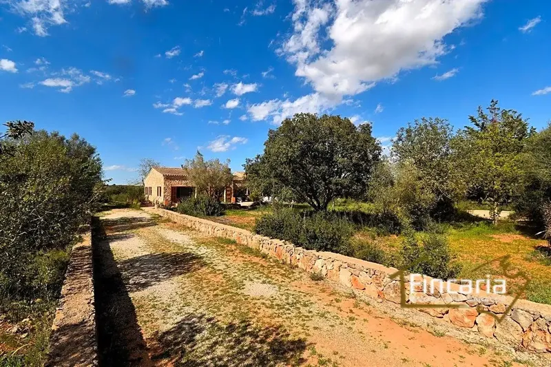 Exceptional rustic house in Mallorcan style in perfect condition, located in the Sa Ribera area 8 km from the town of Manacor — photo 6