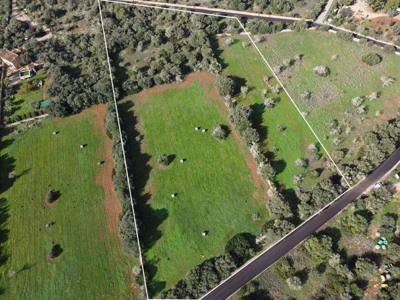 Buildable plot in Ses Salines, Mallorca — photo 4