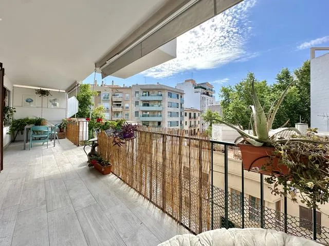 Palma - Camp D'en Serralta — photo 1