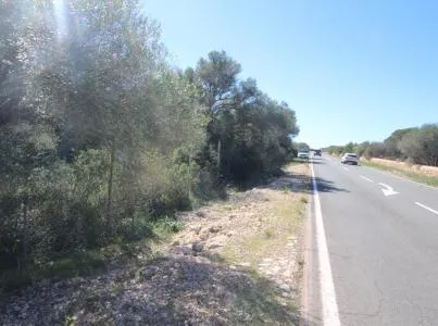 Rustic land - Llucmajor (Cala Pi-Vallgornera), plot surface 100,158 m², distance to the sea 3 km — photo 4