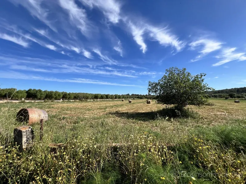 Land for sale in Ariany, Mallorca, Baleares, Spain — photo 6