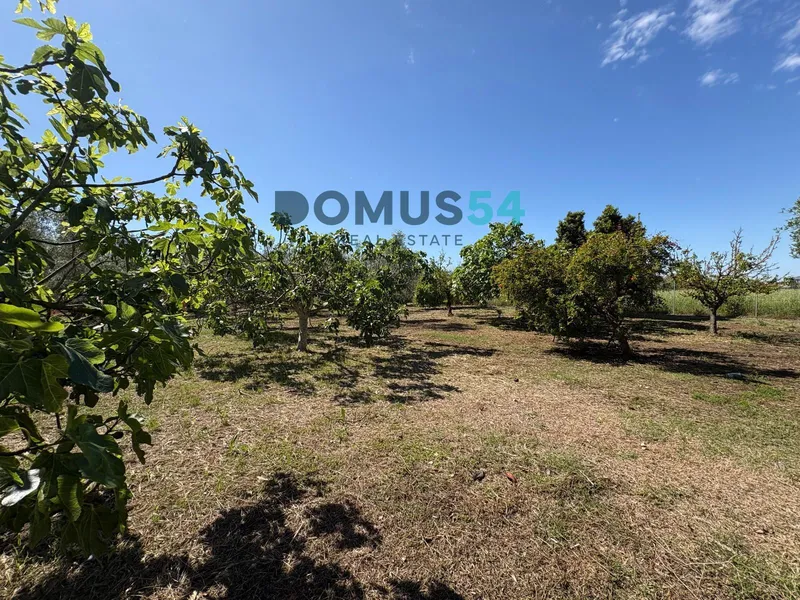 Unbuildable rural land with a shed in Sa Pobla — photo 12