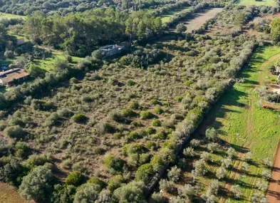 Rustic plot in Algaida — photo 7