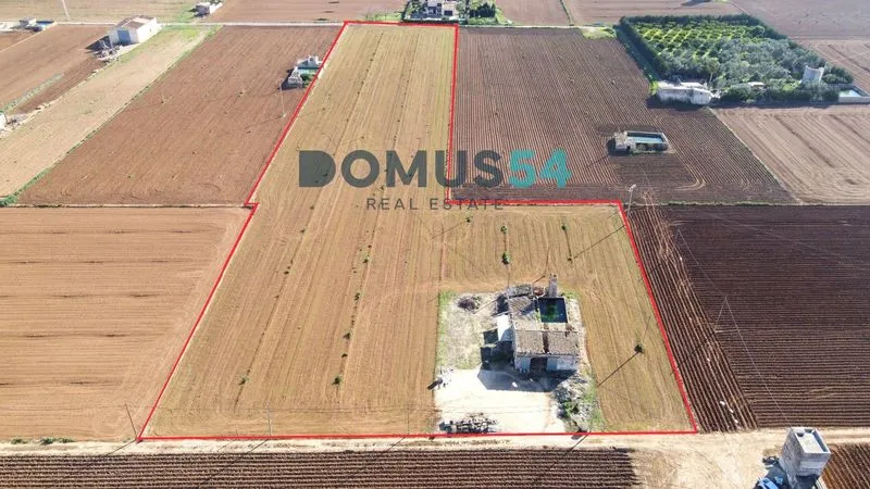 Rustic building plot in Sa Pobla — photo 1