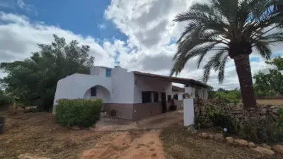 Casa rústica en Llucmajor — photo 3