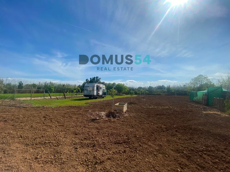 plot in Sa Pobla — photo 4