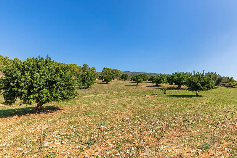 Plot in Bunyola - drone shot with view of the property — photo 9