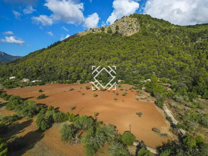 Historic country house for sale in Vall d'en March Pollensa, Mallorca — photo 6