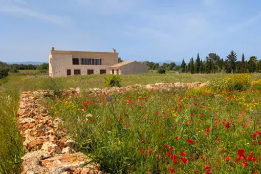 Algaida, Exclusive luxury finca with saltwater pool near Algaida — photo 2