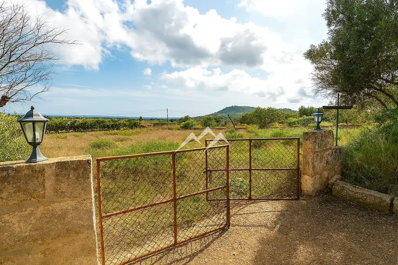 Rustic Estate of 18,000 m2 in Son Servera — photo 11
