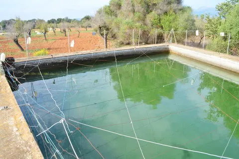 Land in Buger, Mallorca — photo 12