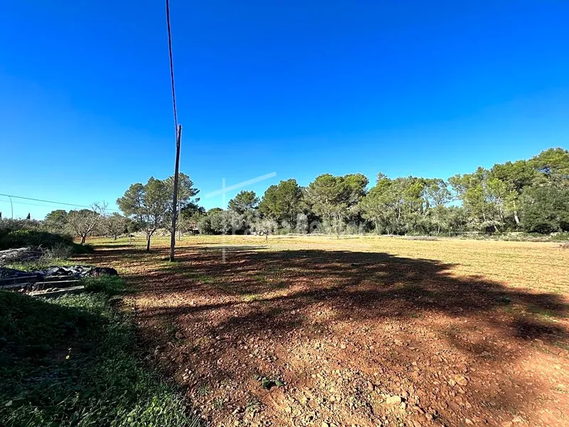 Country Estate for sale in Algaida of 16229 m2 — photo 7