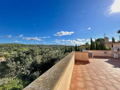 Independent house or chalet for sale in Diseminado Distr-1 Secci-2 — photo 3
