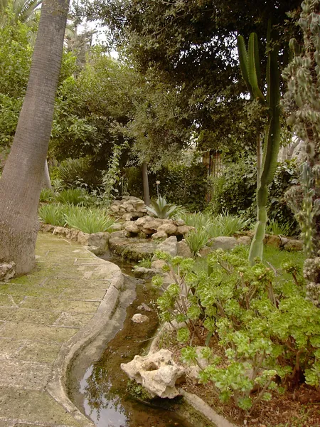 Country house near Inca, Puig Santa Magdalena — photo 7