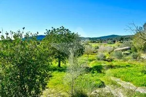 Building plot in a great location — photo 1